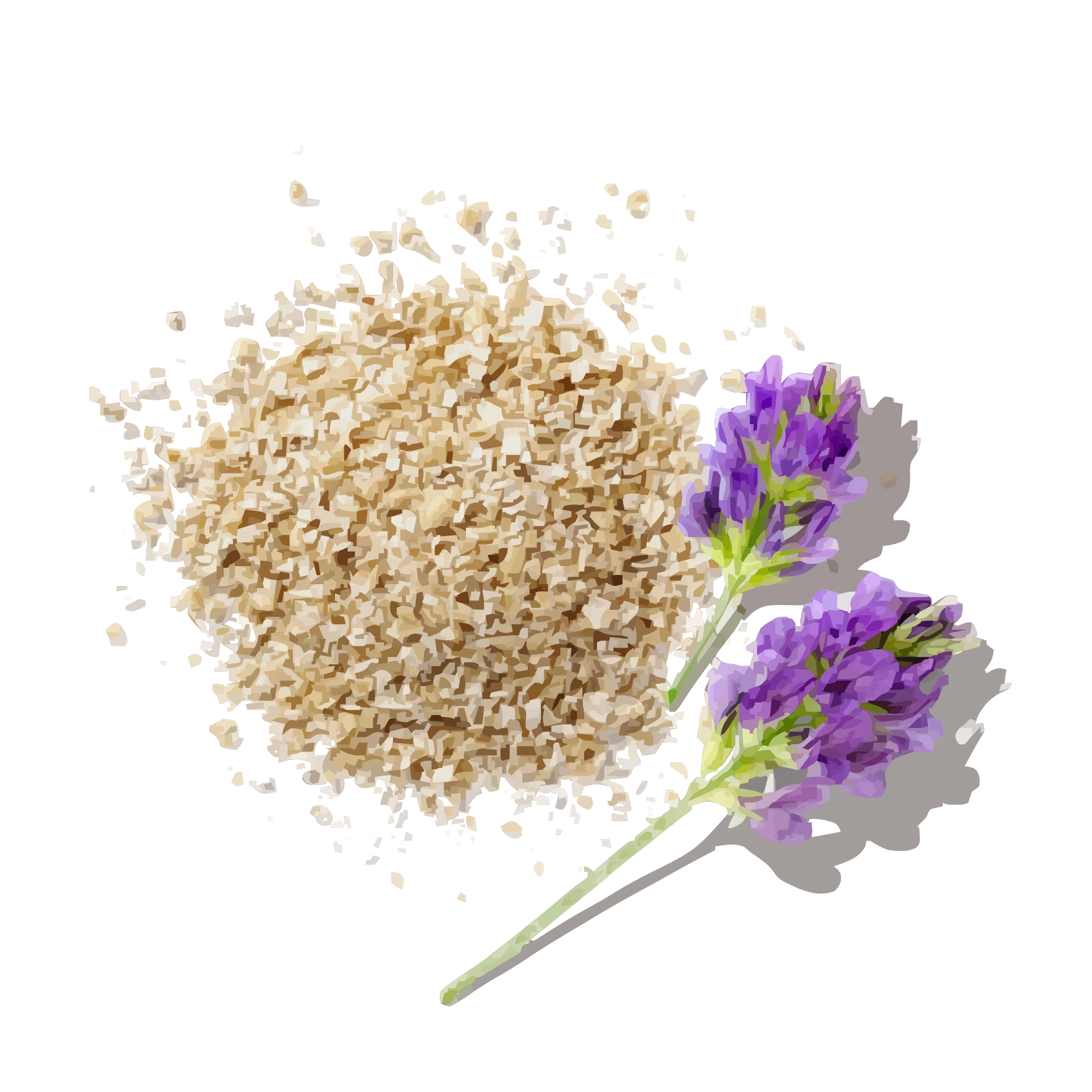 Lutein