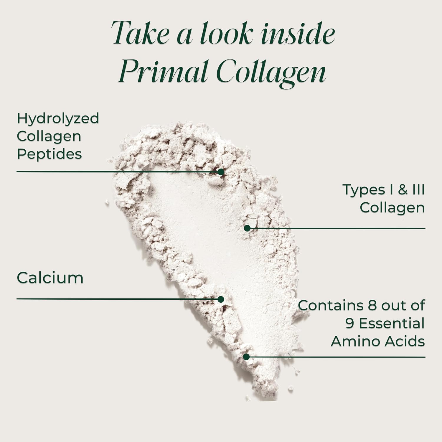 Collagen detail