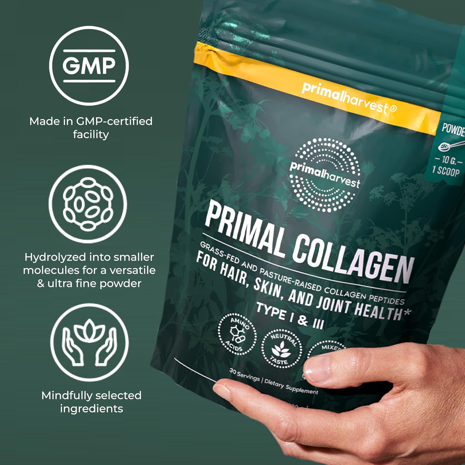 Collagen detail